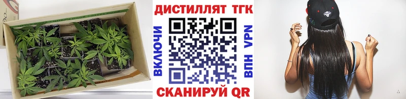 блэк спрут   Пересвет  ТГК вейп 