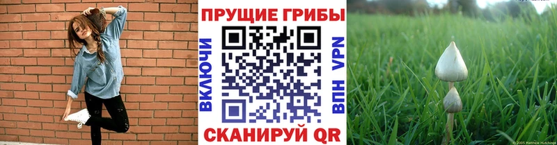 Псилоцибиновые грибы ЛСД Пересвет